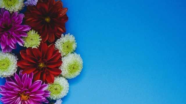 表明不出售 表明不出售